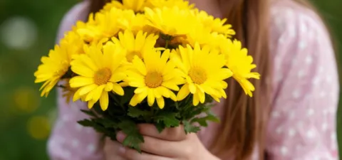 Как желтые цветы помогают бороться с хандрой и заряжают энергией