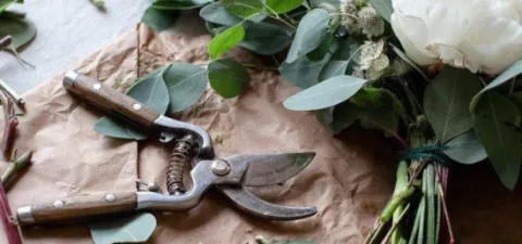 Как сохранить свежесть цветов и продлить их жизнь