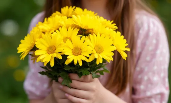 Как желтые цветы помогают бороться с хандрой и заряжают энергией