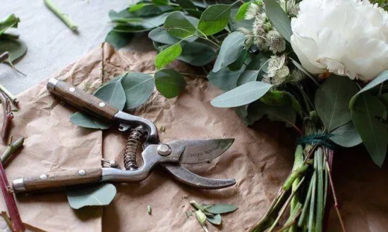 Как сохранить свежесть цветов и продлить их жизнь