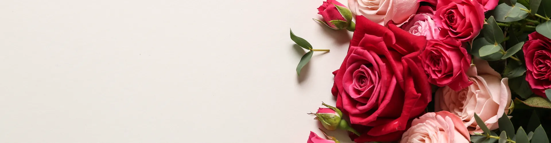 Дарим 200 бонусов