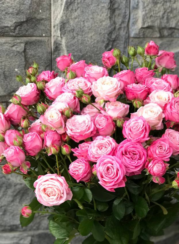 Розовые кустовые розы под ленту от интернет-магазина цветов в 