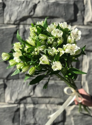 Монобукет 9 альстромерий от интернет-магазина цветов в 