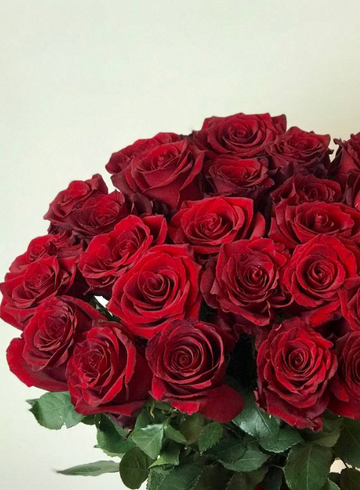 Розы Explorer под ленту от интернет-магазина цветов в 