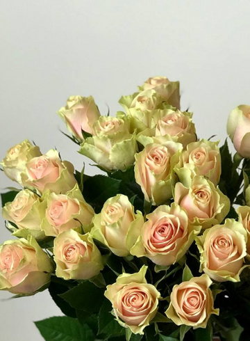 Розы Frutetto под ленту от интернет-магазина цветов в 