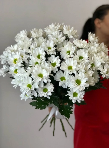 Монобукет 9 ромашковых хризантем  от интернет-магазина цветов в 