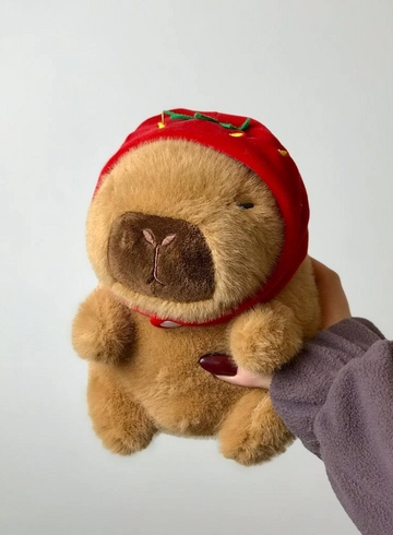 Капибара №1 от интернет-магазина цветов в 